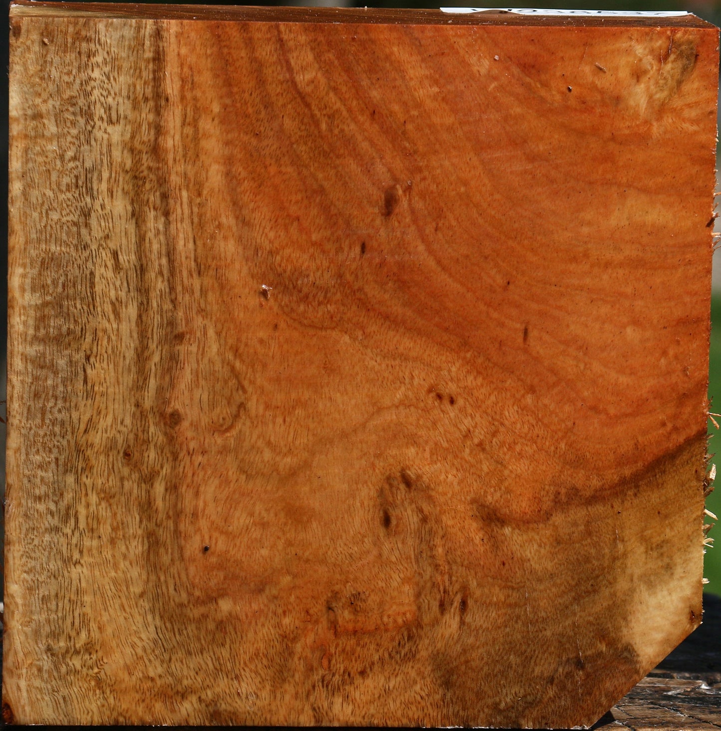 Figured Carob Bowl Blank