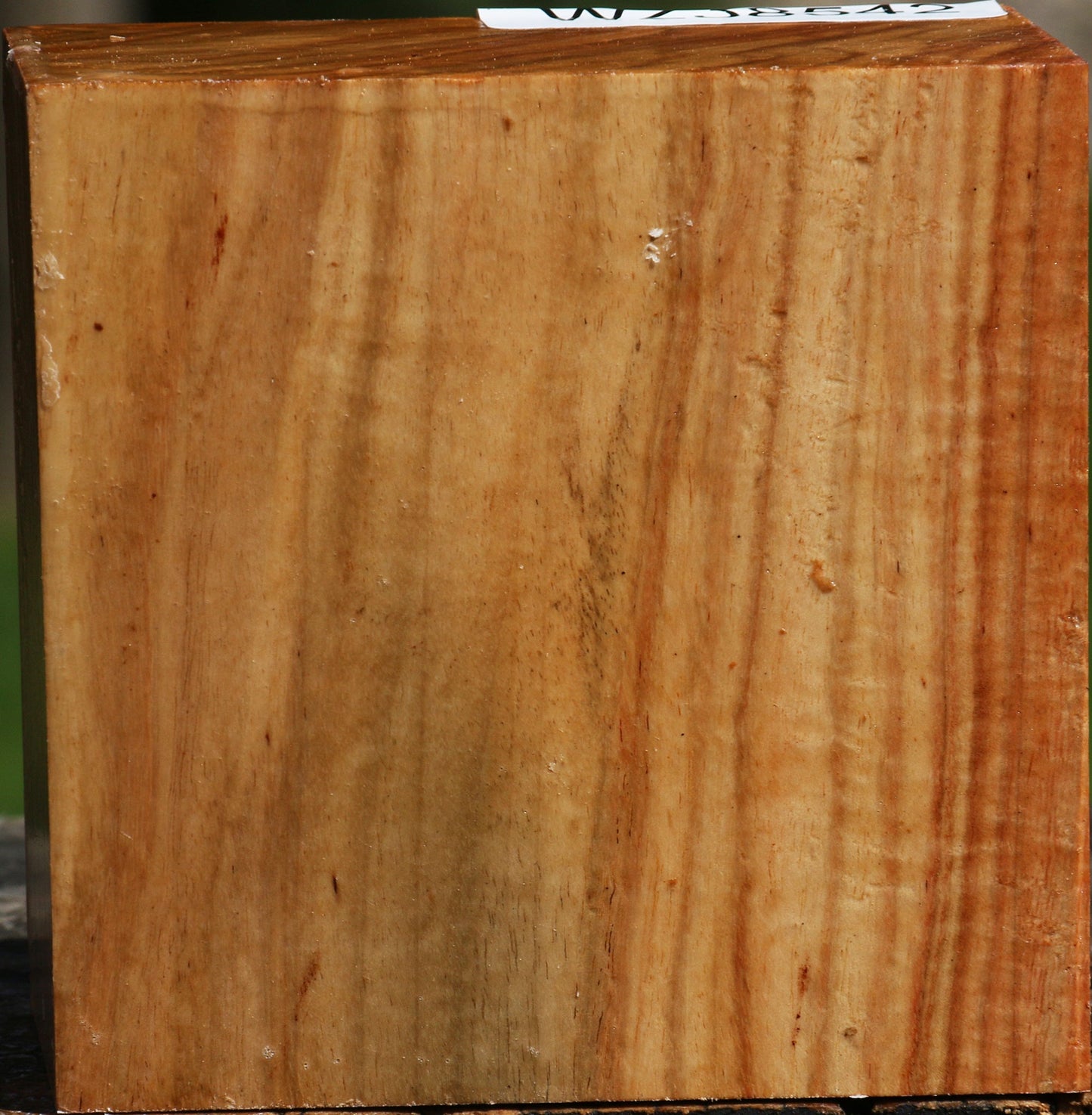 Figured Carob Bowl Blank