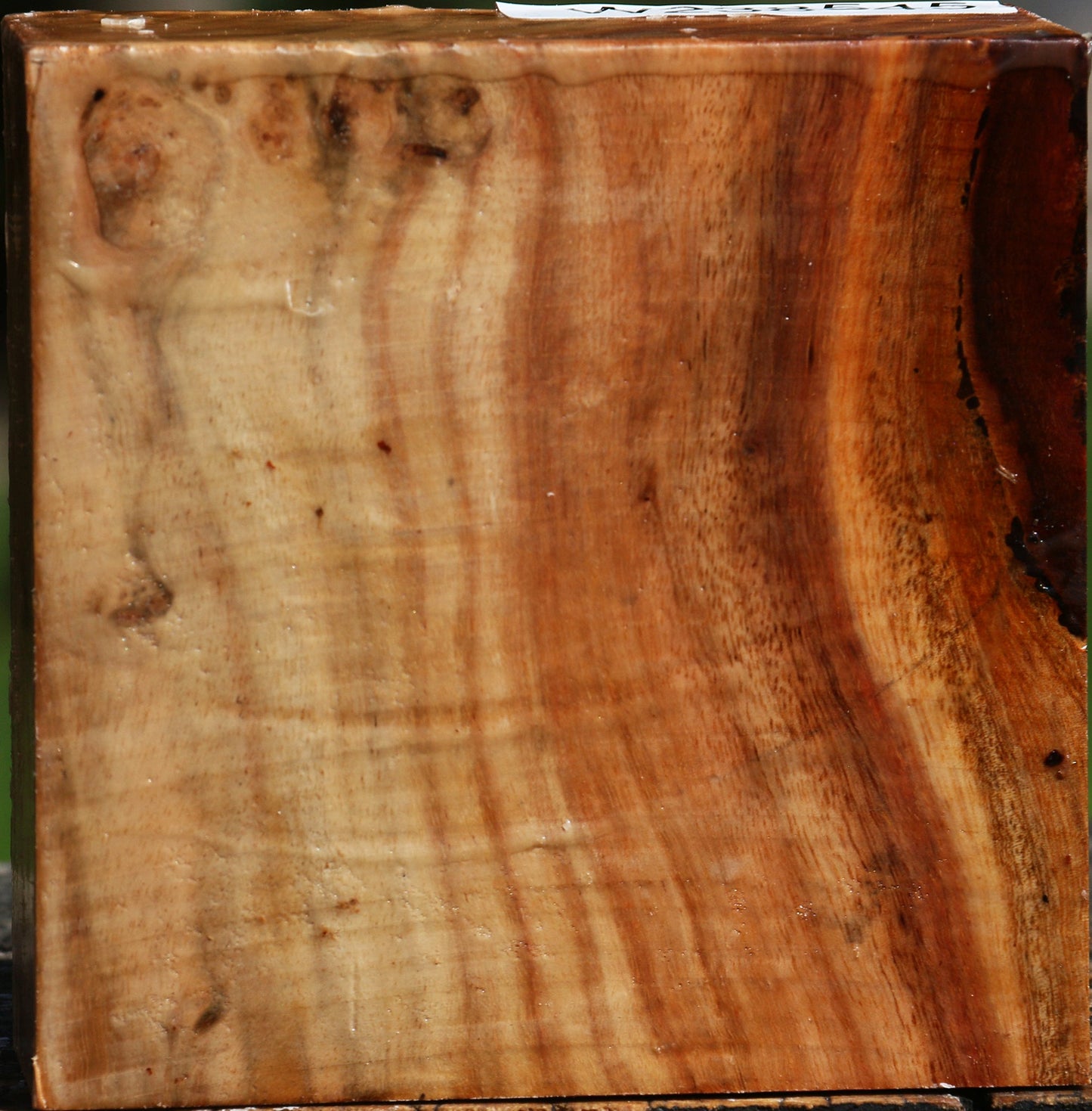 Extra Fancy Carob Bowl Blank