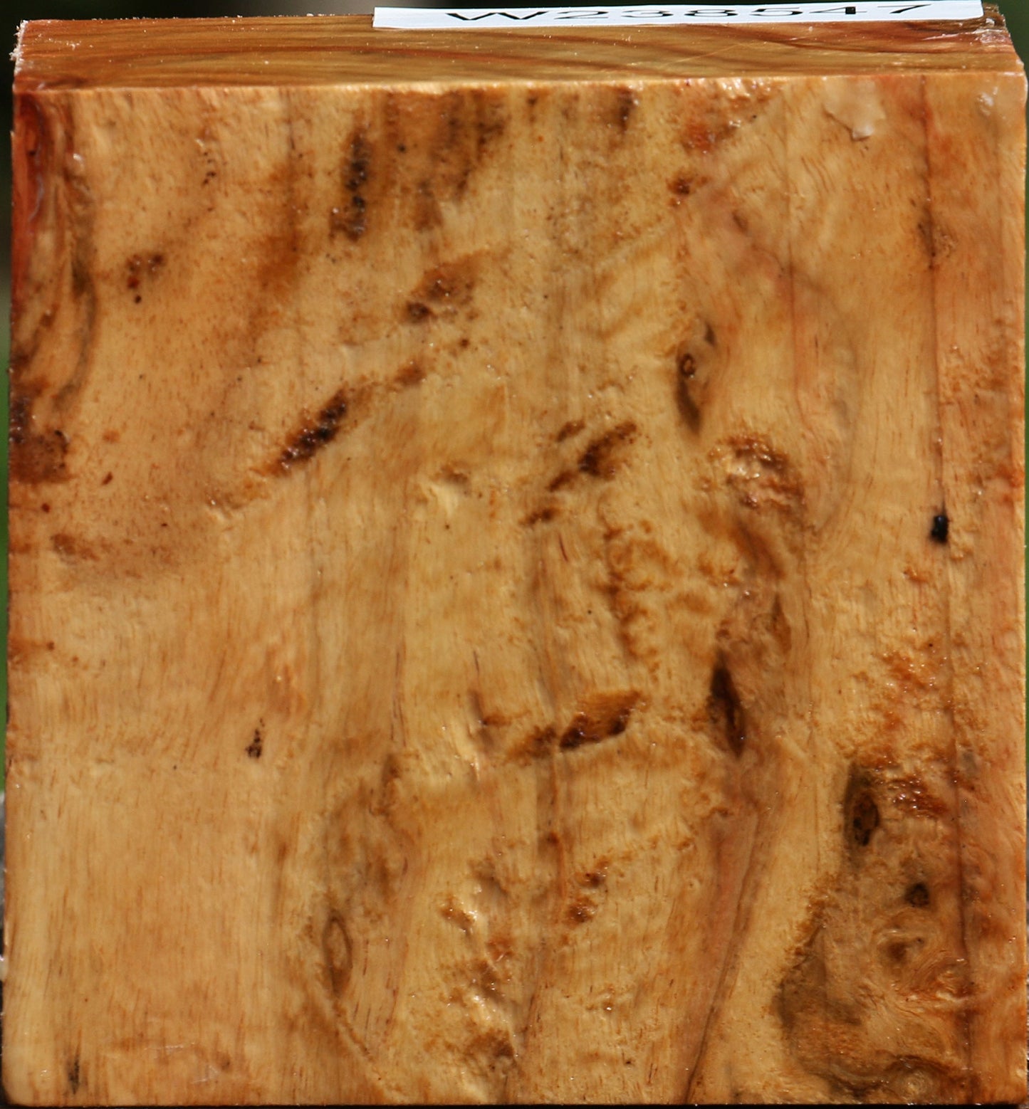 Figured Carob Bowl Blank