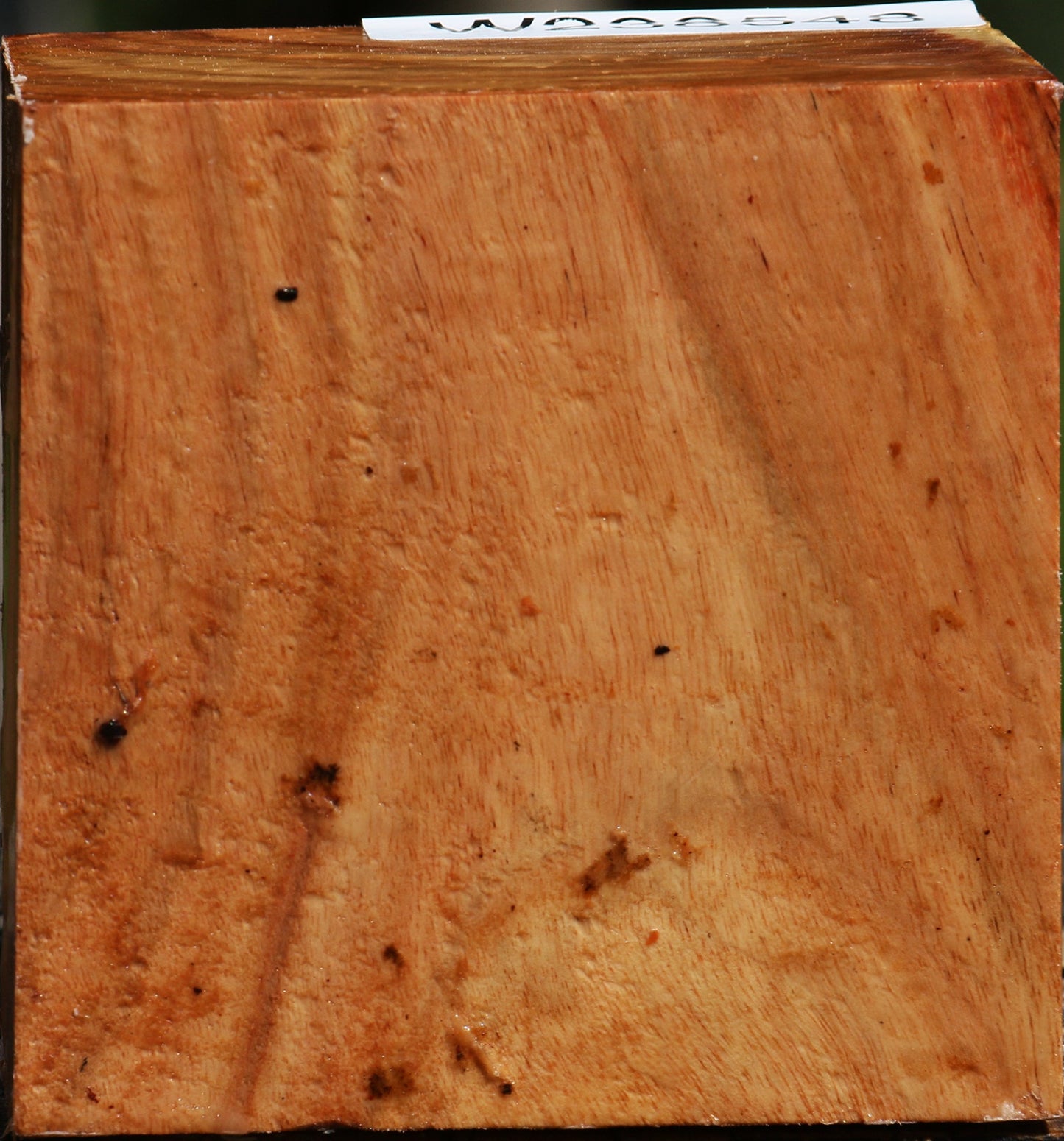 Figured Carob Bowl Blank