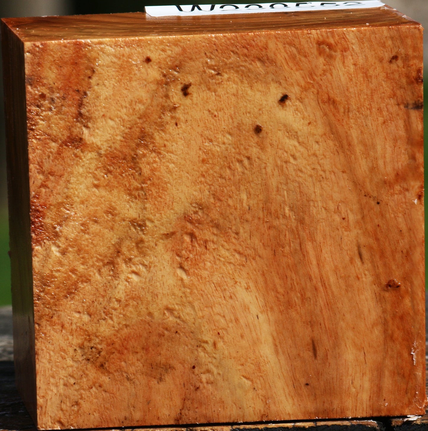 Extra Fancy Carob Bowl Blank