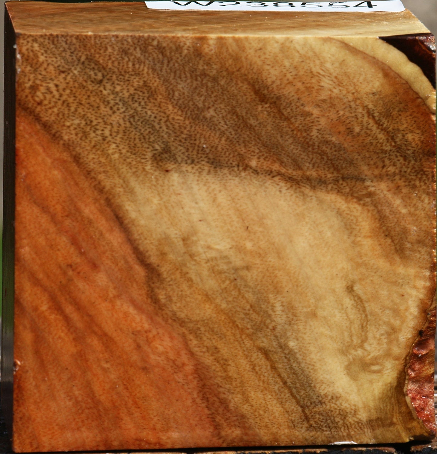 Figured Carob Bowl Blank