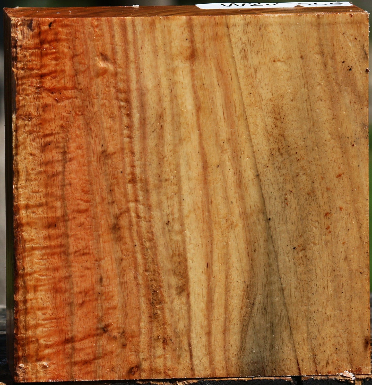 Figured Carob Bowl Blank