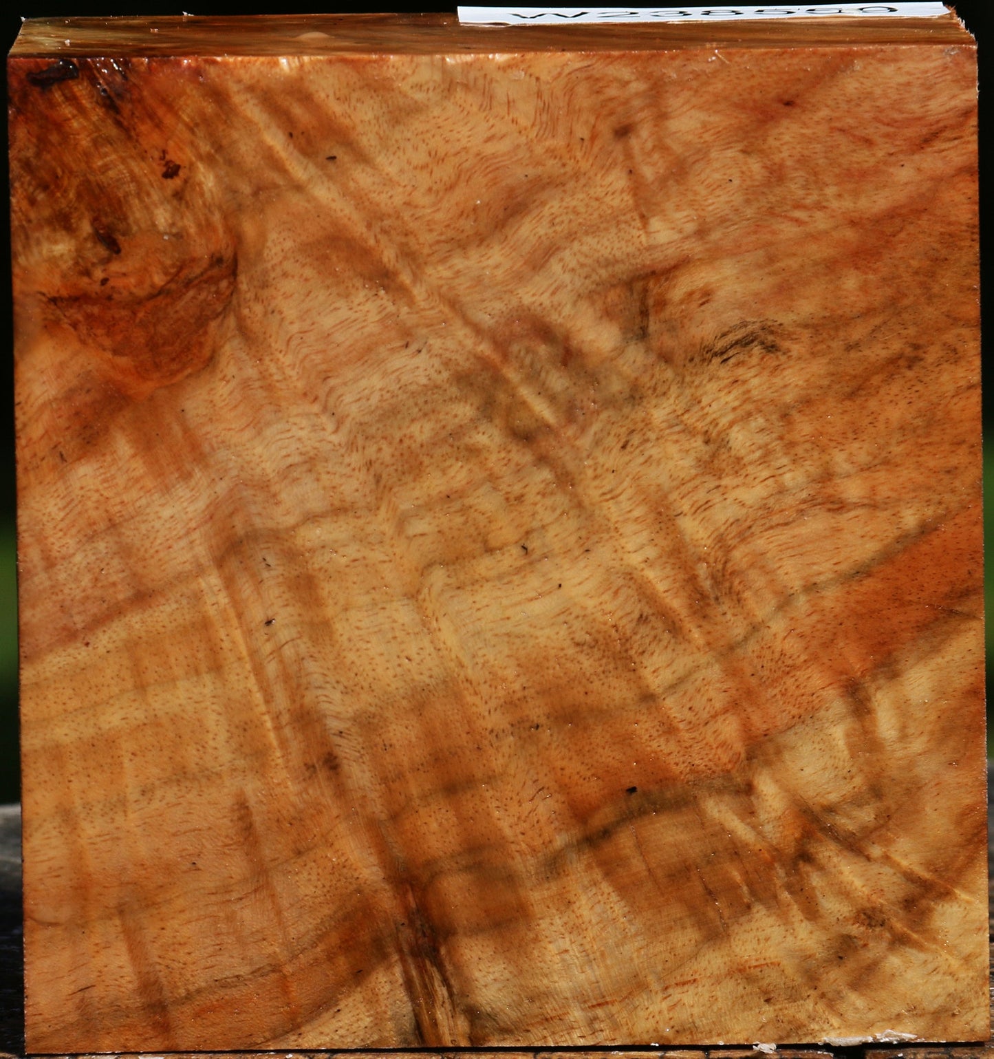 Extra Fancy Carob Bowl Blank