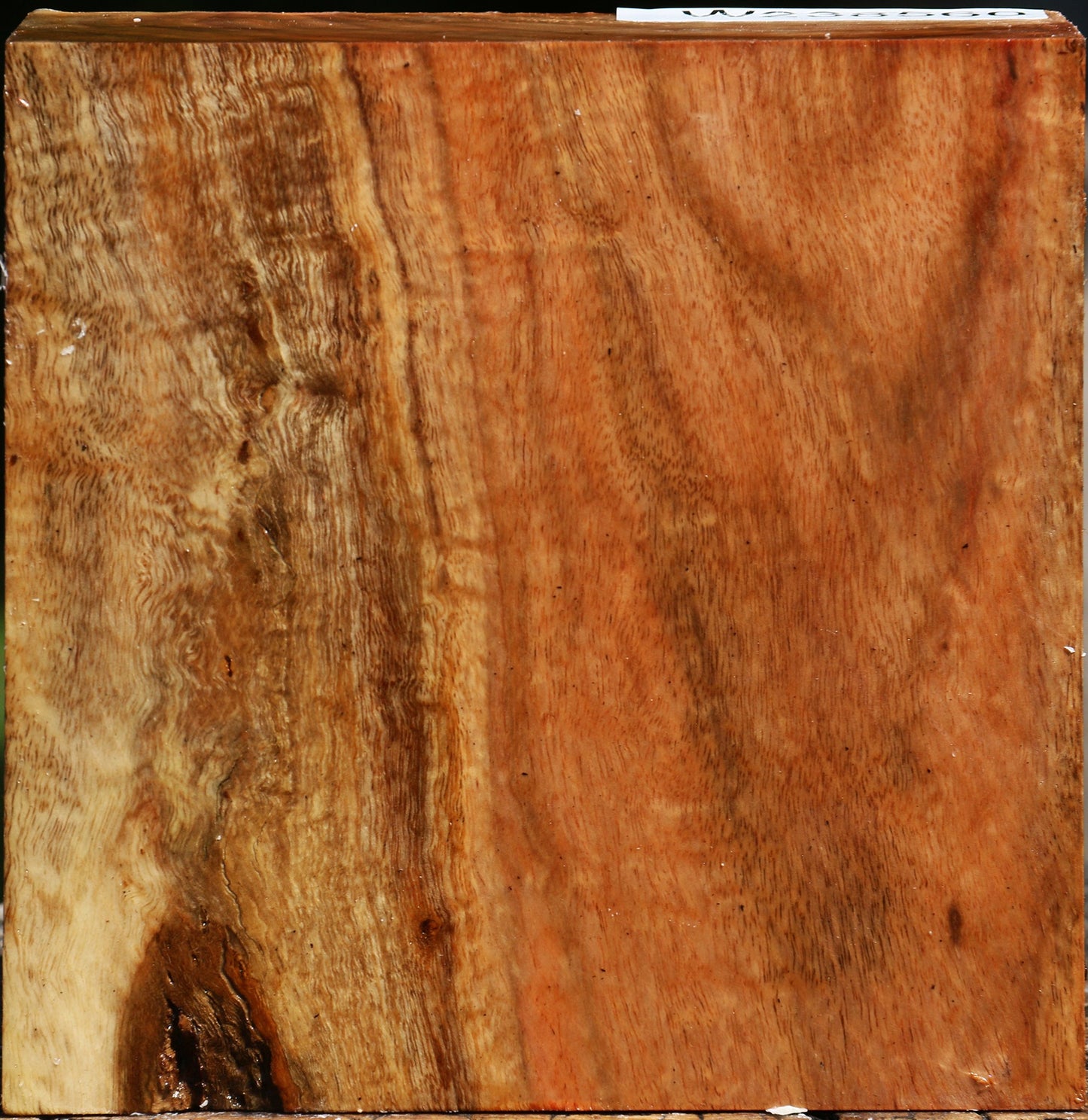 Figured Carob Bowl Blank