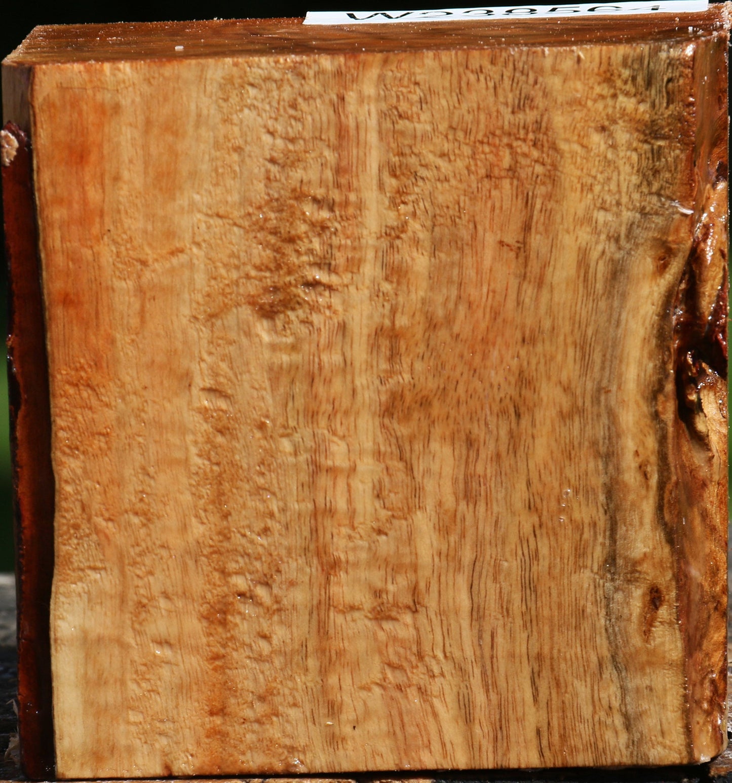 Figured Carob Bowl Blank