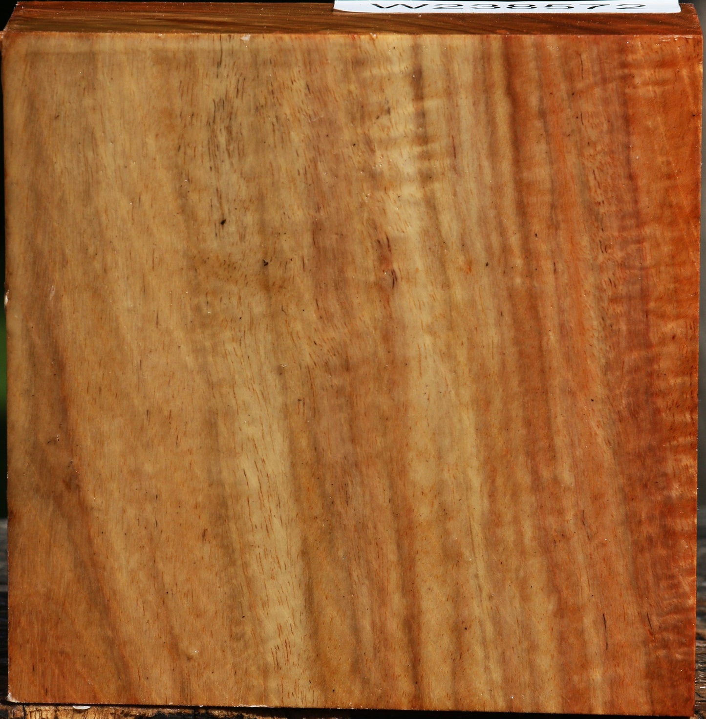 Figured Carob Bowl Blank