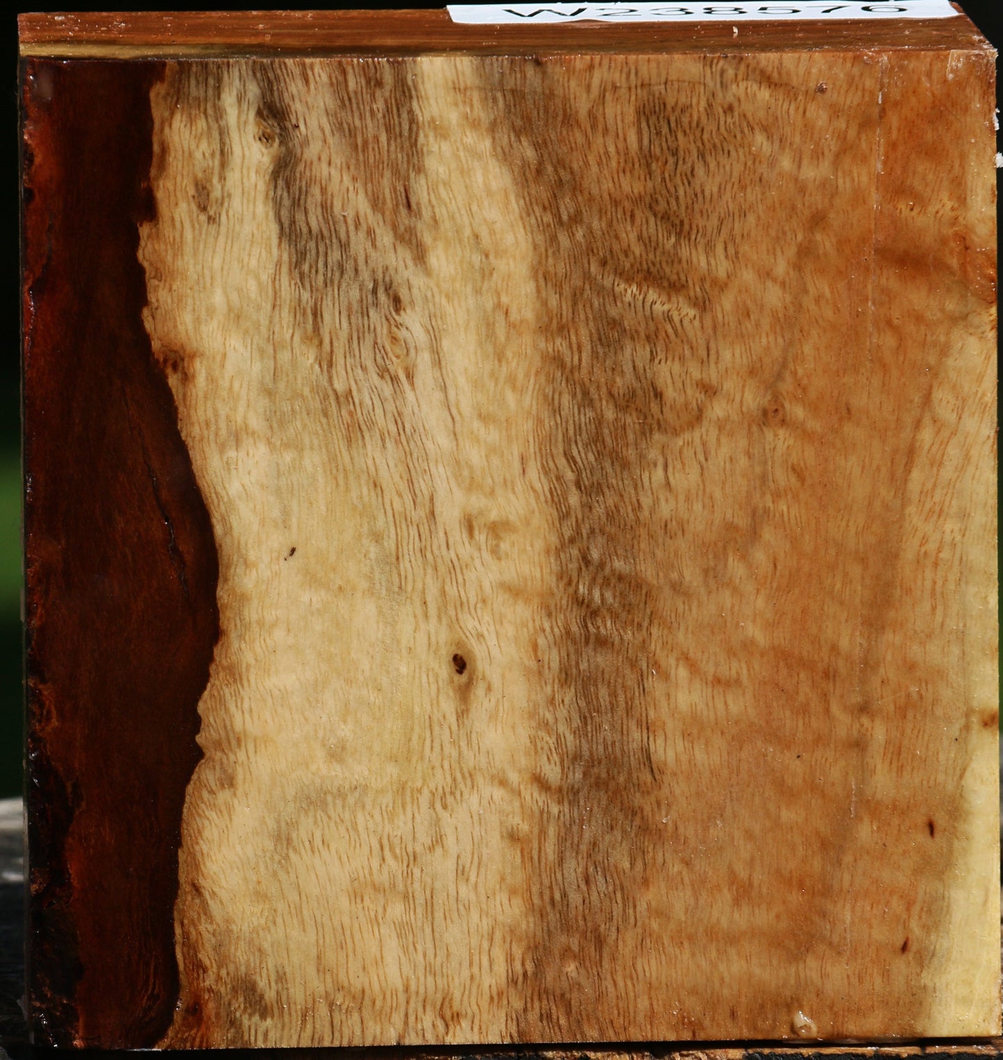 Figured Carob Bowl Blank