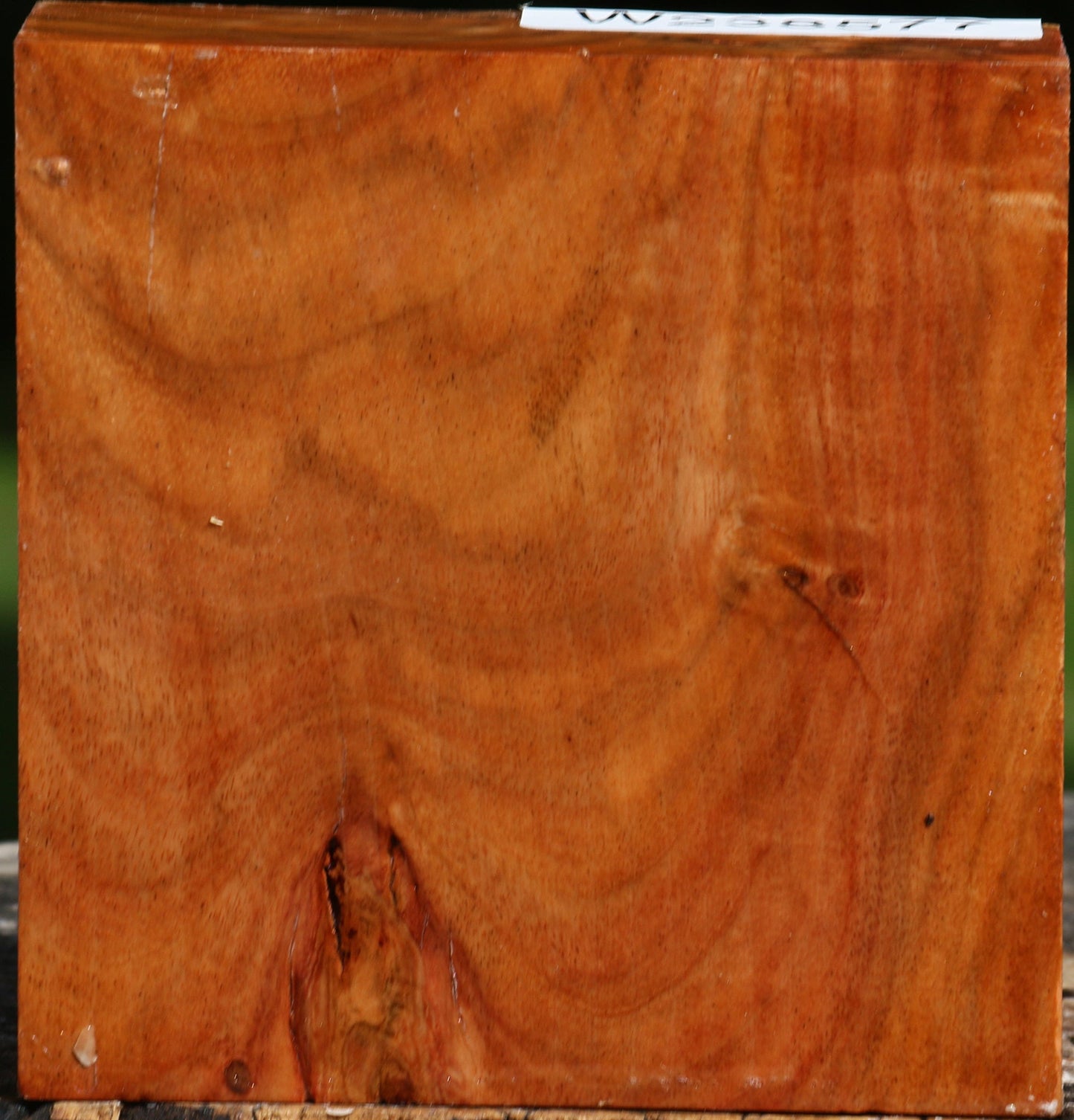 Rustic Carob Bowl Blank