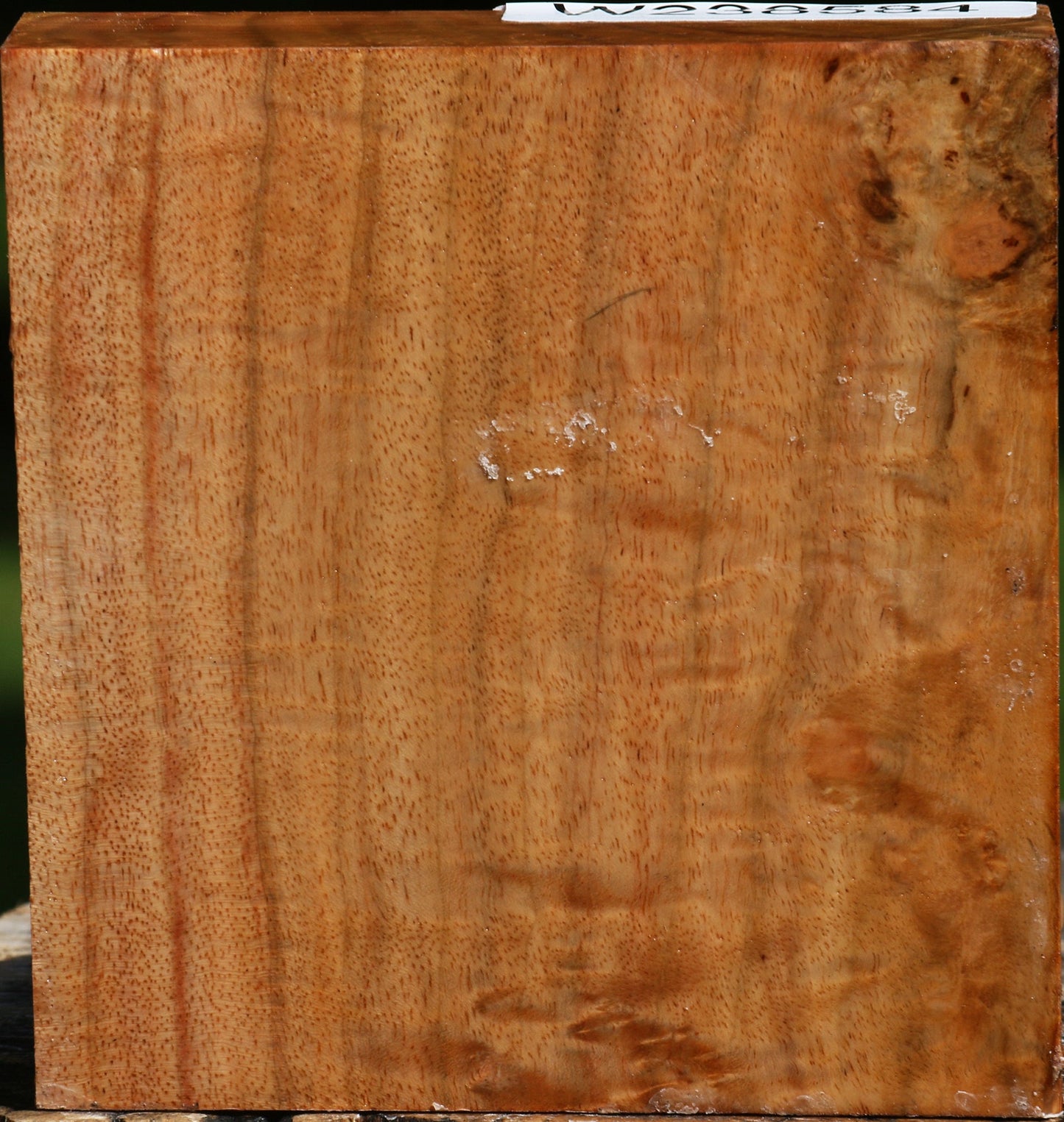 Figured Carob Bowl Blank