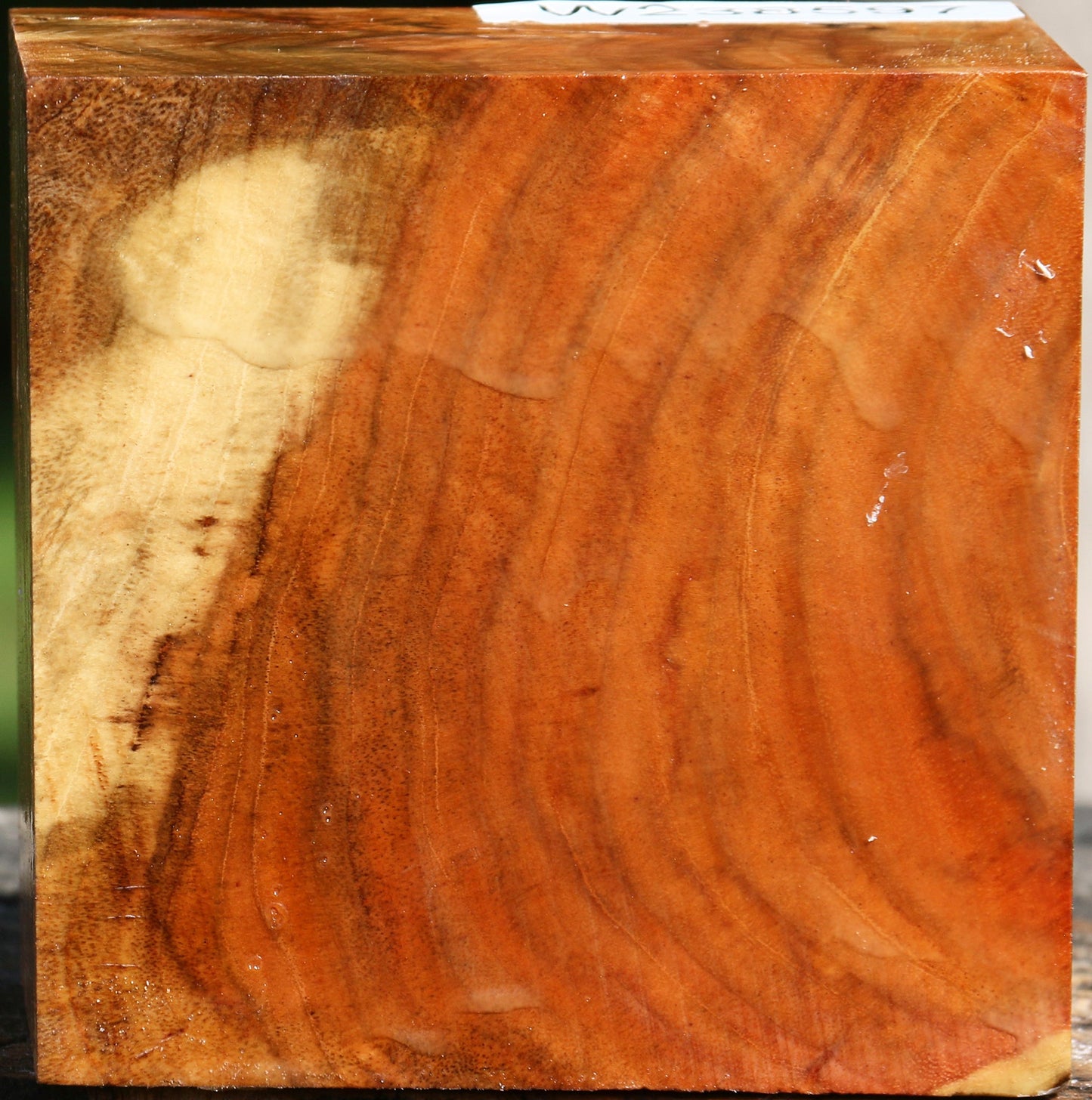 Extra Fancy Carob Bowl Blank