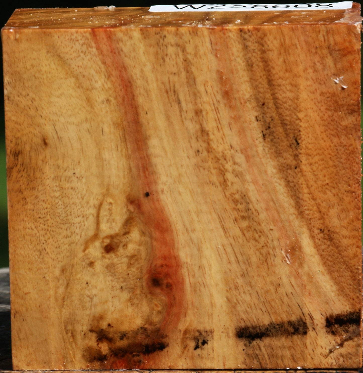 Extra Fancy Carob Bowl Blank