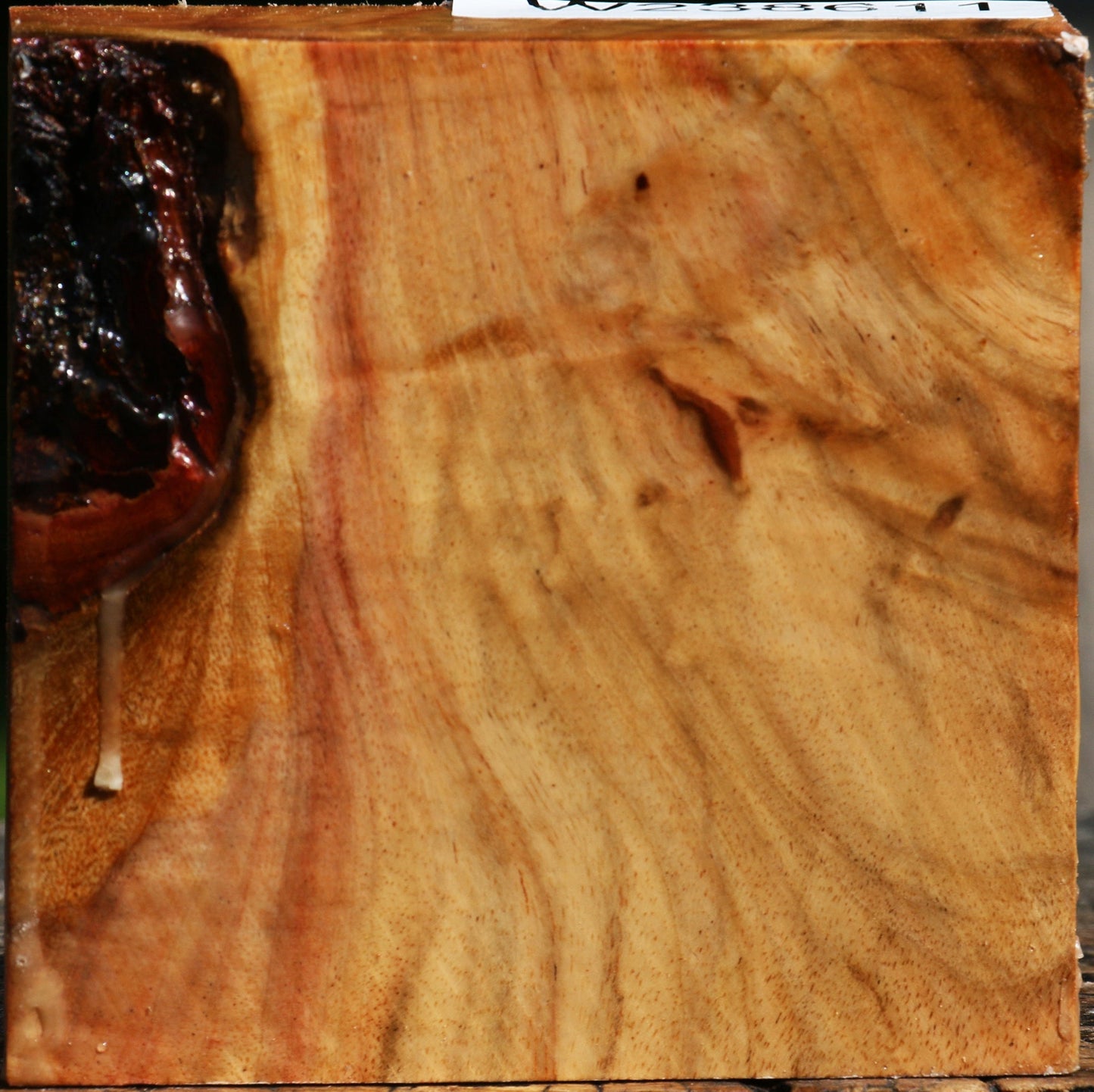 Extra Fancy Carob Bowl Blank