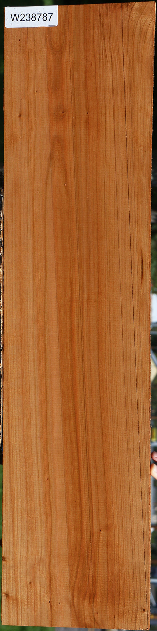 Curly Cherry Lumber