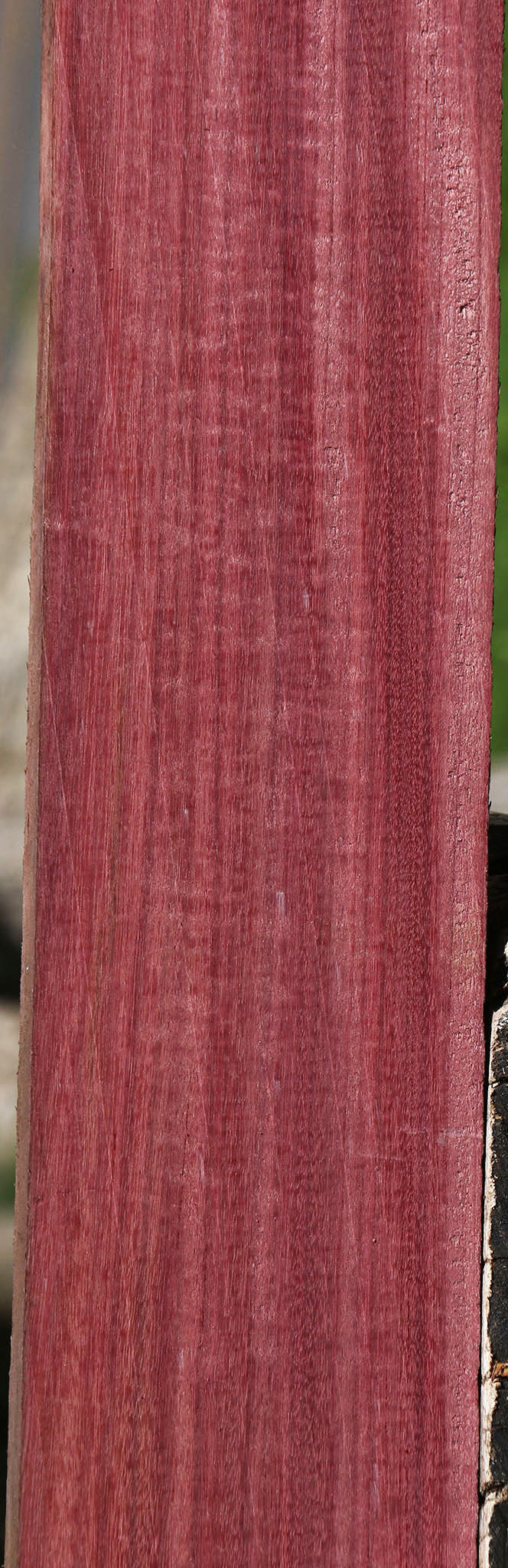 Figured Purpleheart Lumber