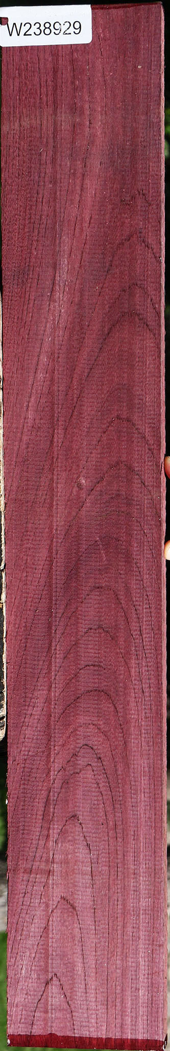 Purpleheart Lumber