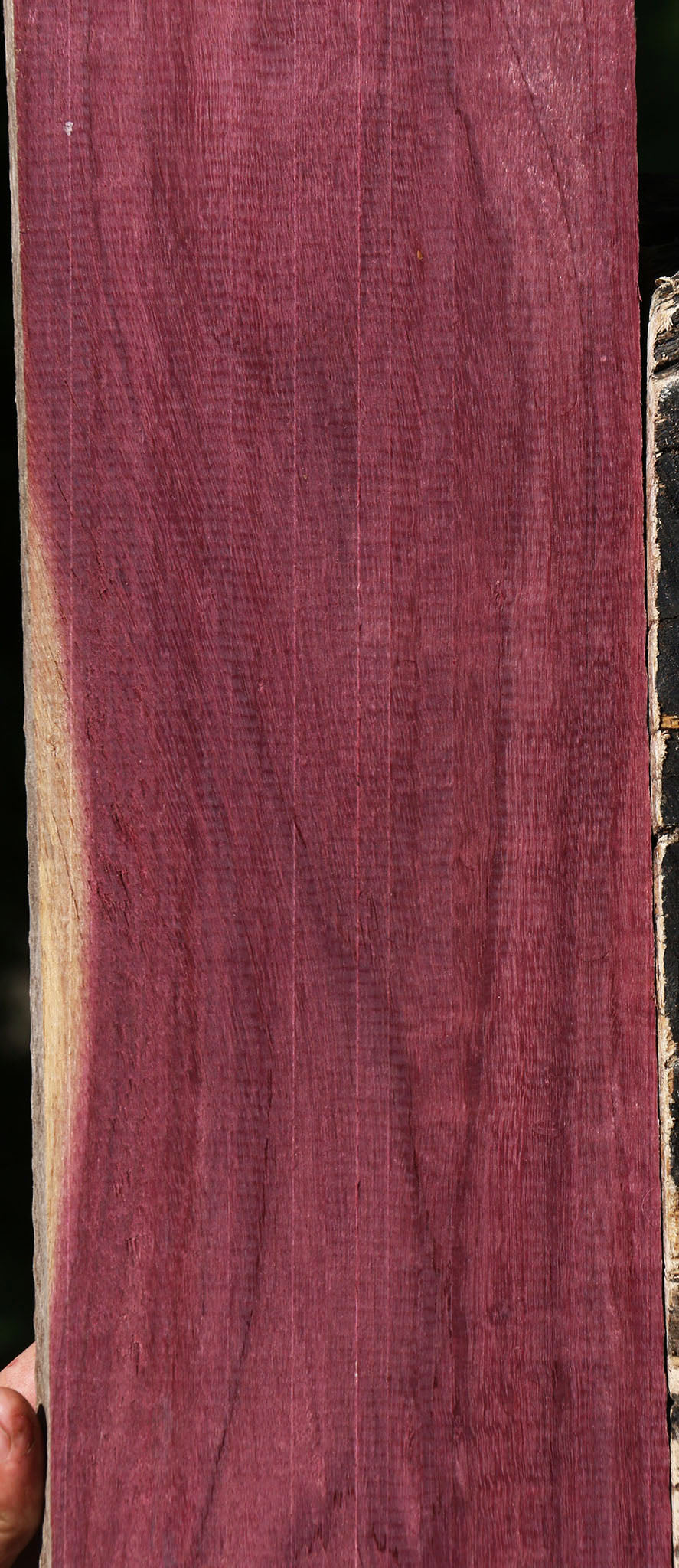Figured Purpleheart Lumber