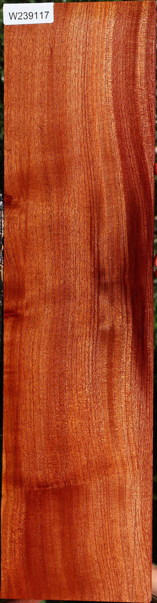 Figured Brazilian Pepperwood Lumber