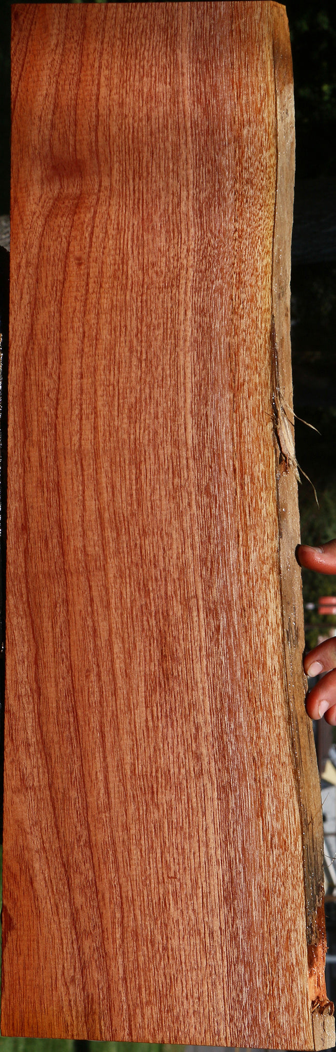 Brazilian Pepperwood Live Edge Lumber