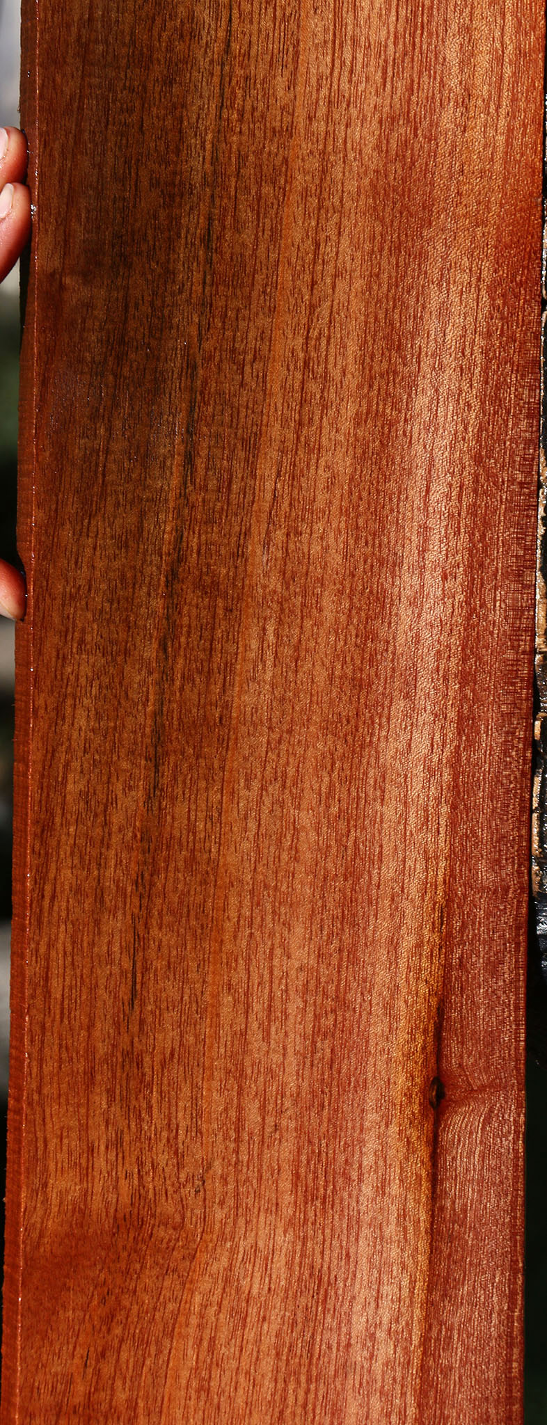 Brazilian Pepperwood Lumber