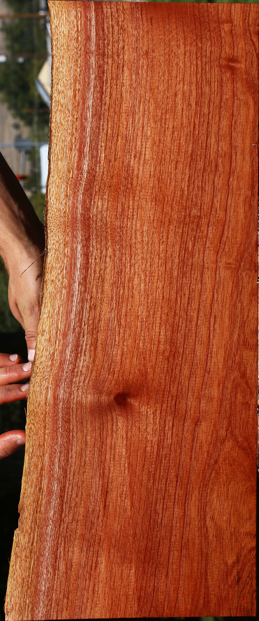 Brazilian Pepperwood Live Edge Lumber
