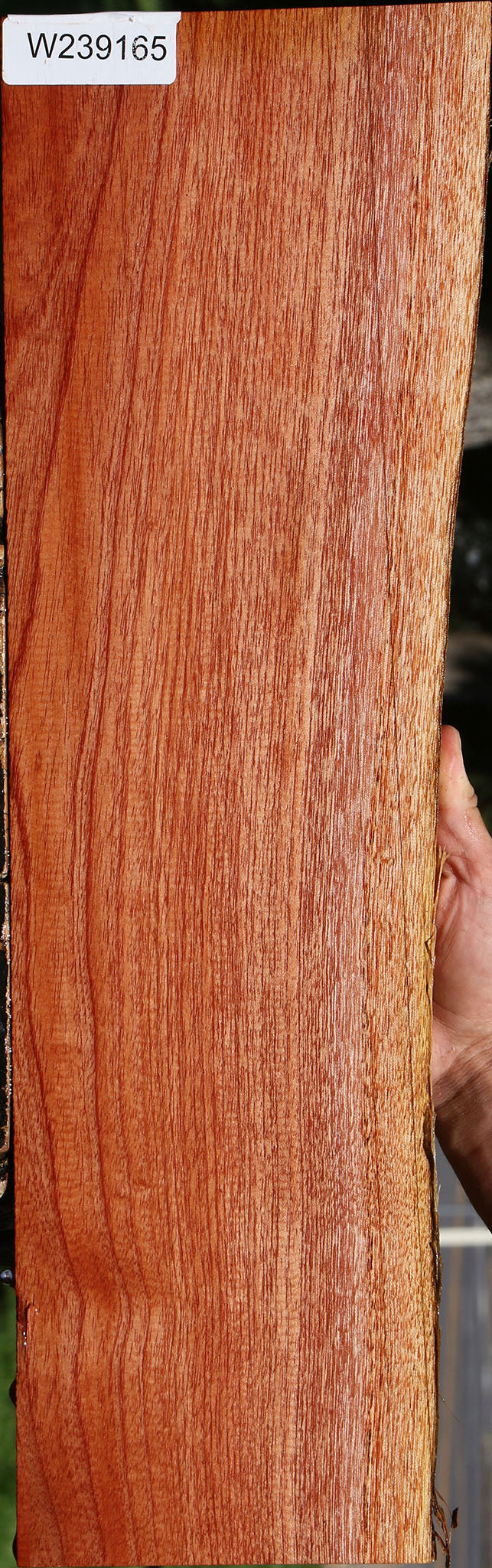 Brazilian Pepperwood Live Edge Lumber