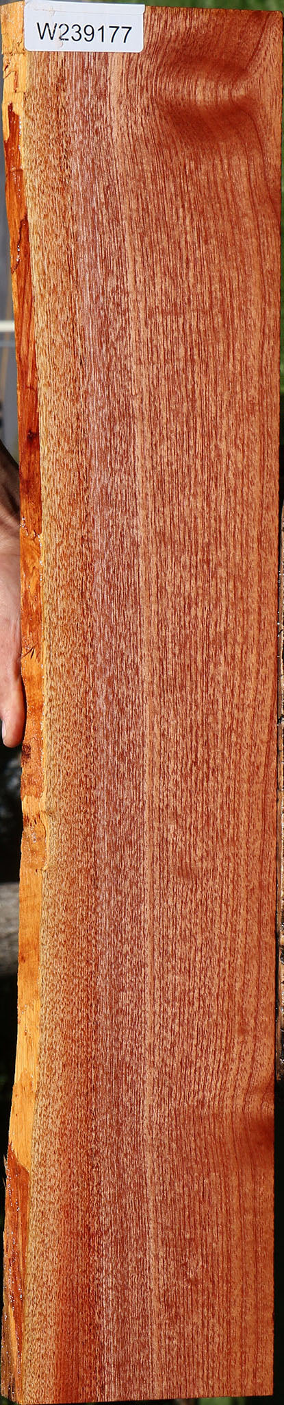 Brazilian Pepperwood Live Edge Lumber