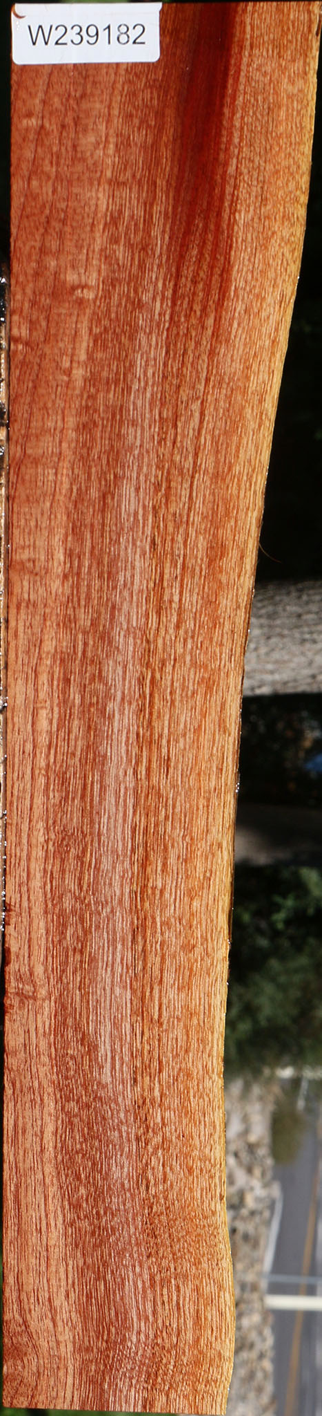 Figured Brazilian Pepperwood Live Edge Lumber