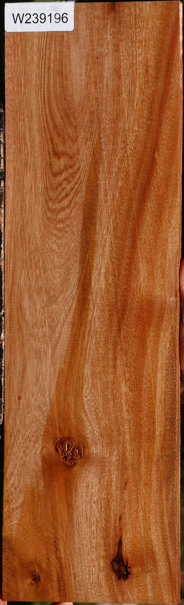 Brazilian Pepperwood Micro Lumber