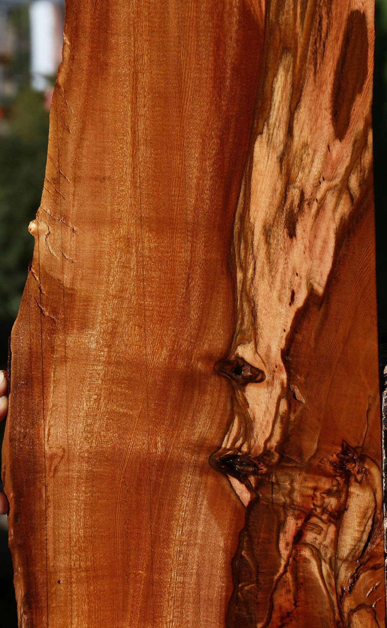 Extra Fancy Brazilian Pepperwood Live Edge Micro Lumber