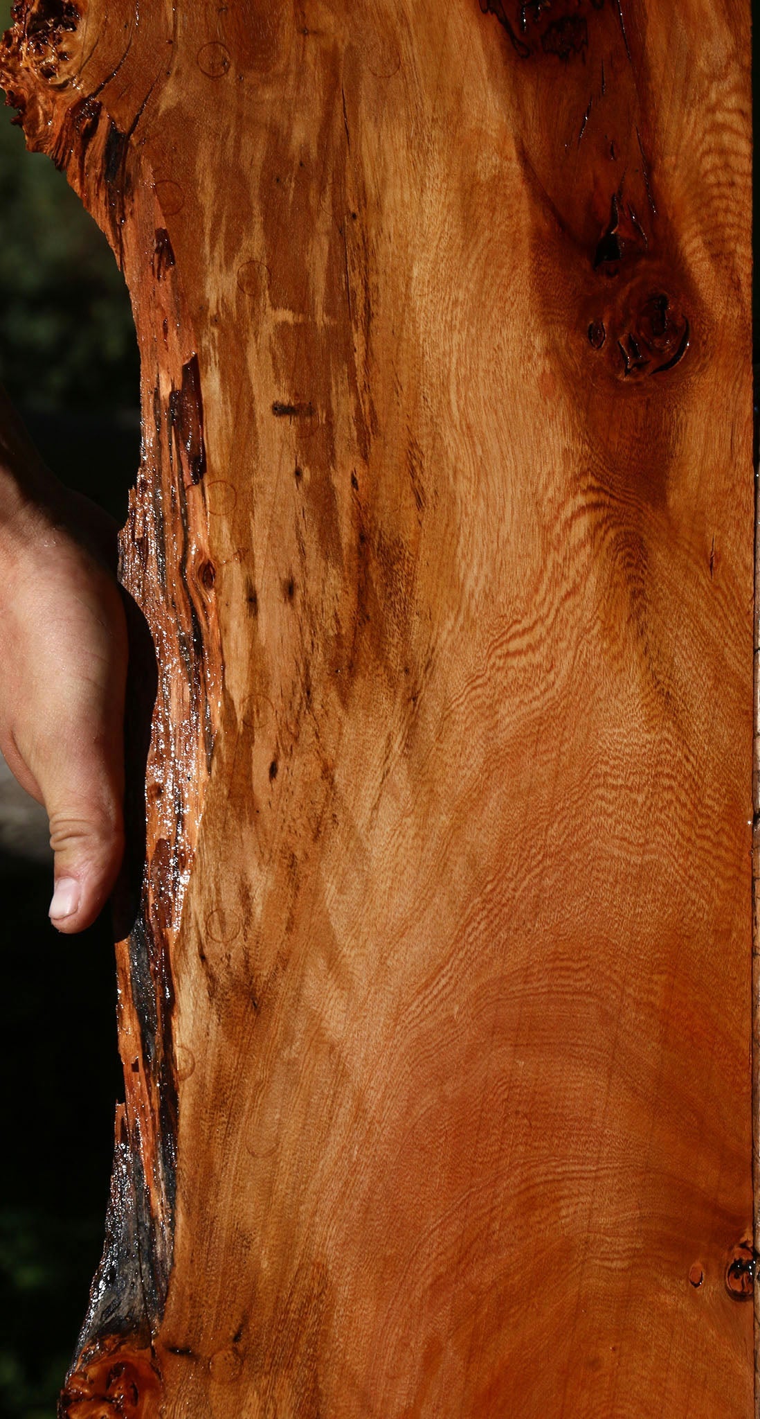 Figured Brazilian Pepperwood Live Edge Lumber