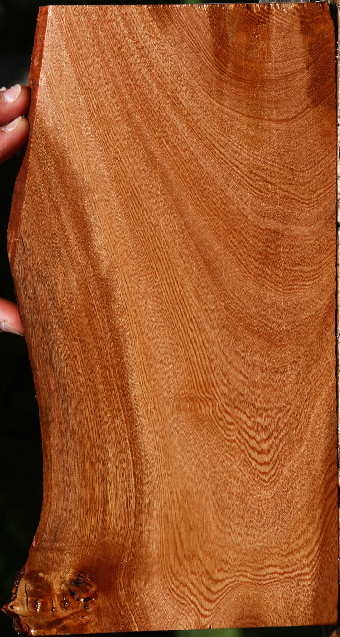 Figured Brazilian Pepperwood Lumber