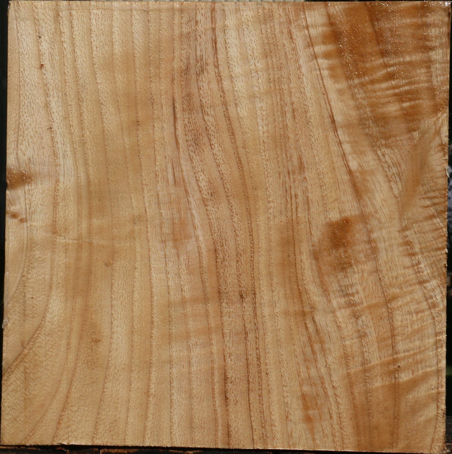 Extra Fancy Modesto Ash Bowl Blank