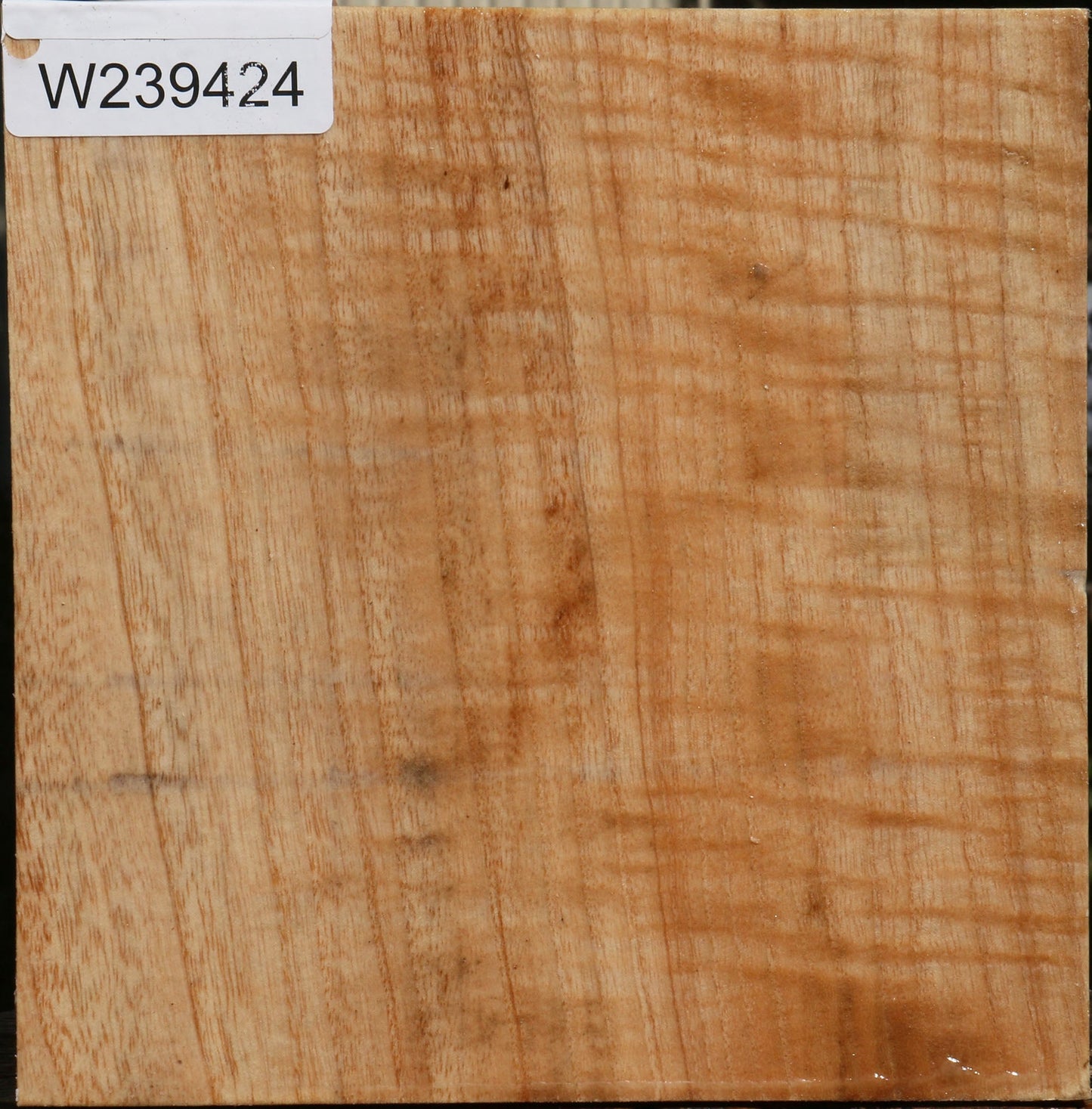 Modesto Ash Bowl Blank