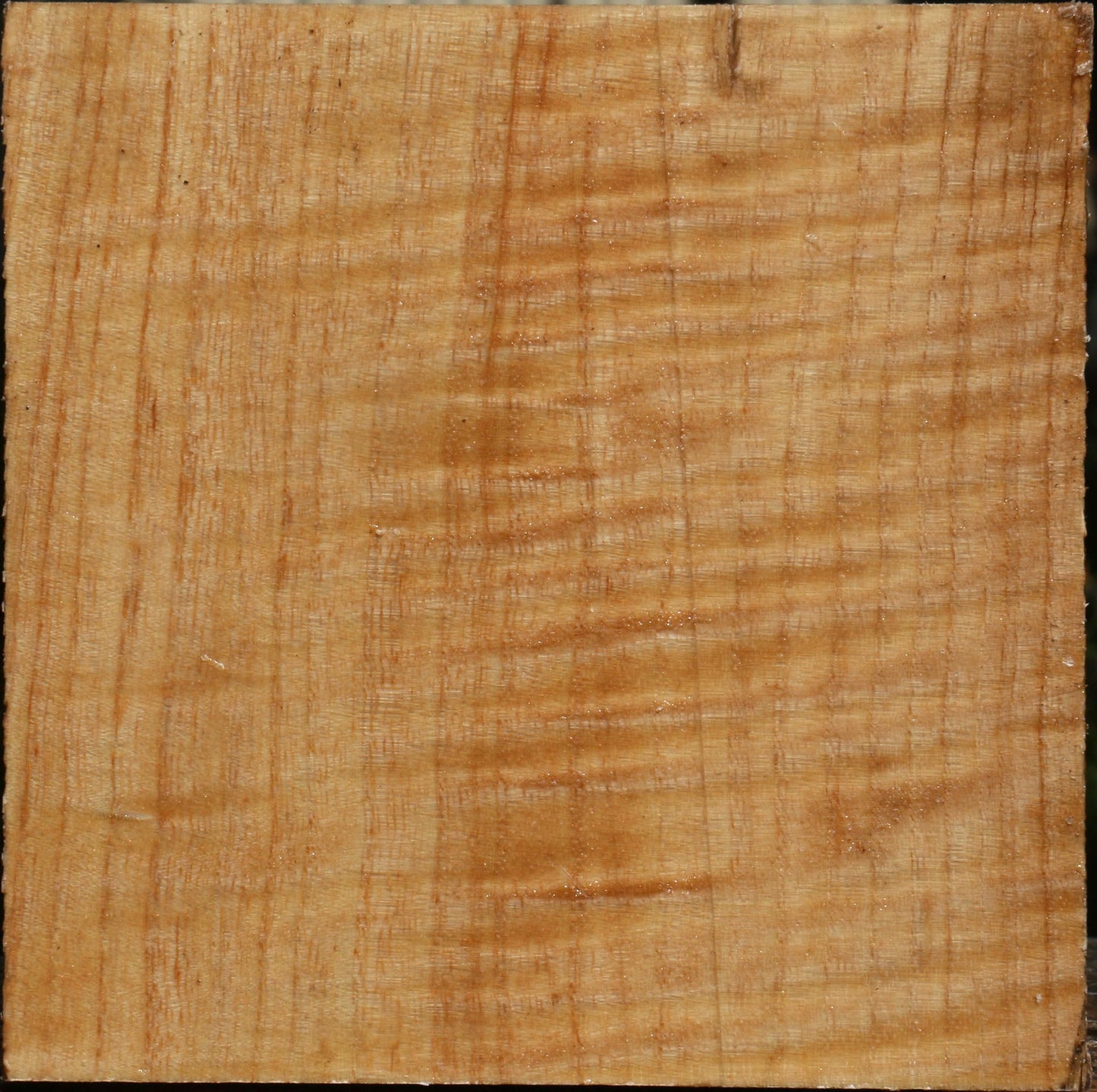 Modesto Ash Bowl Blank