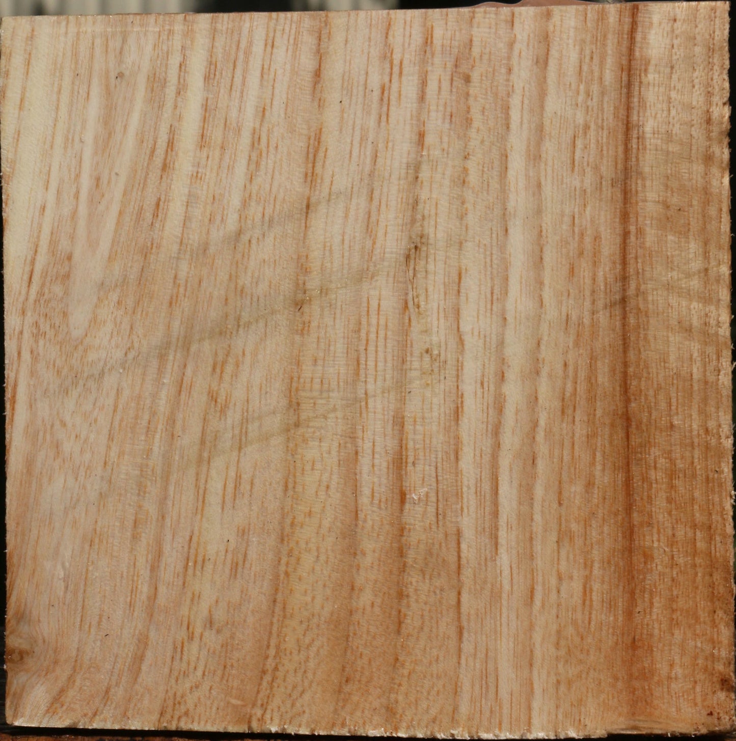 Modesto Ash Bowl Blank