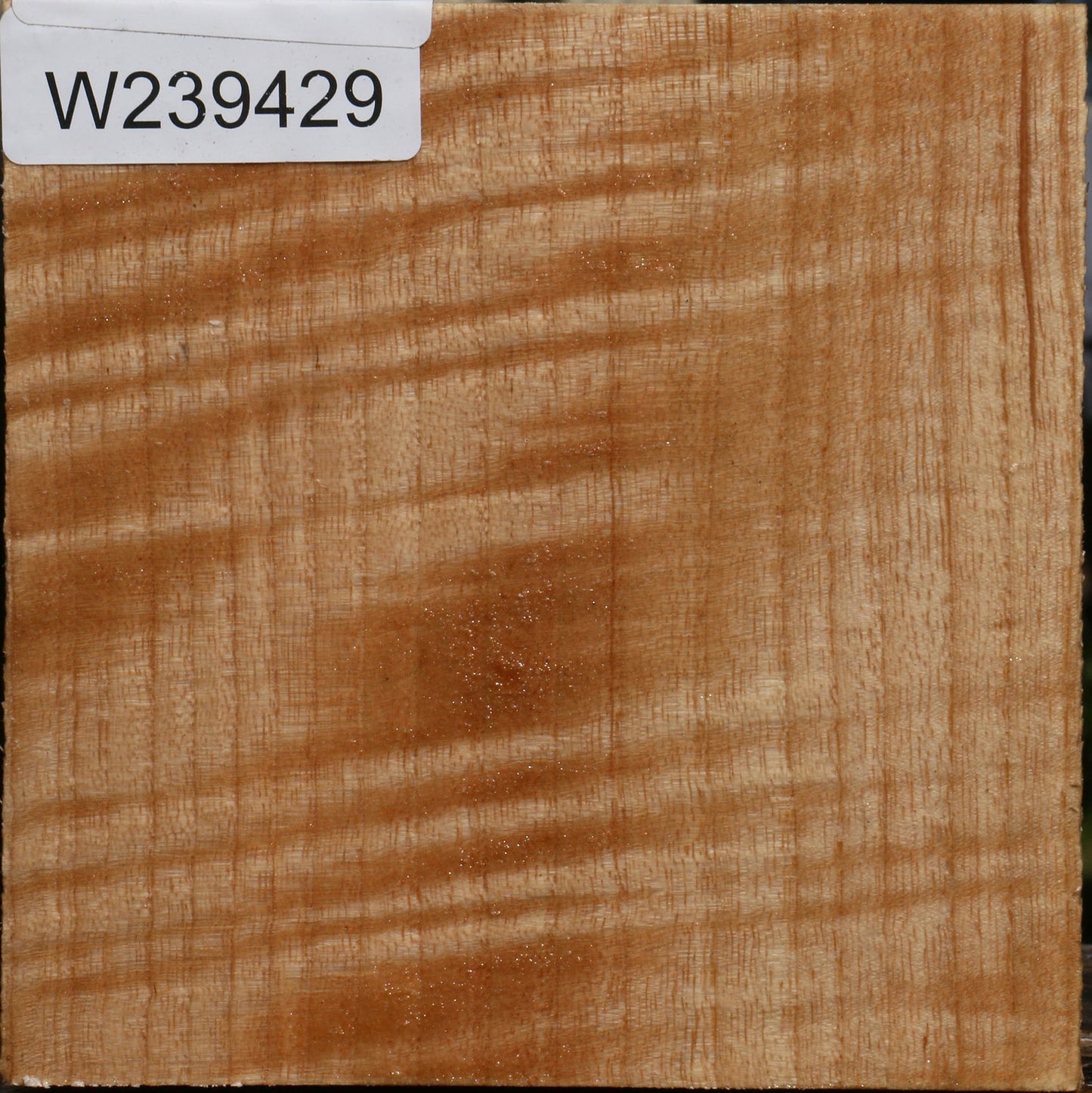 Extra Fancy Modesto Ash Bowl Blank