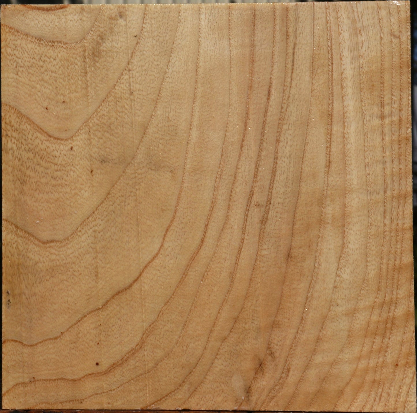 Figured Modesto Ash Bowl Blank