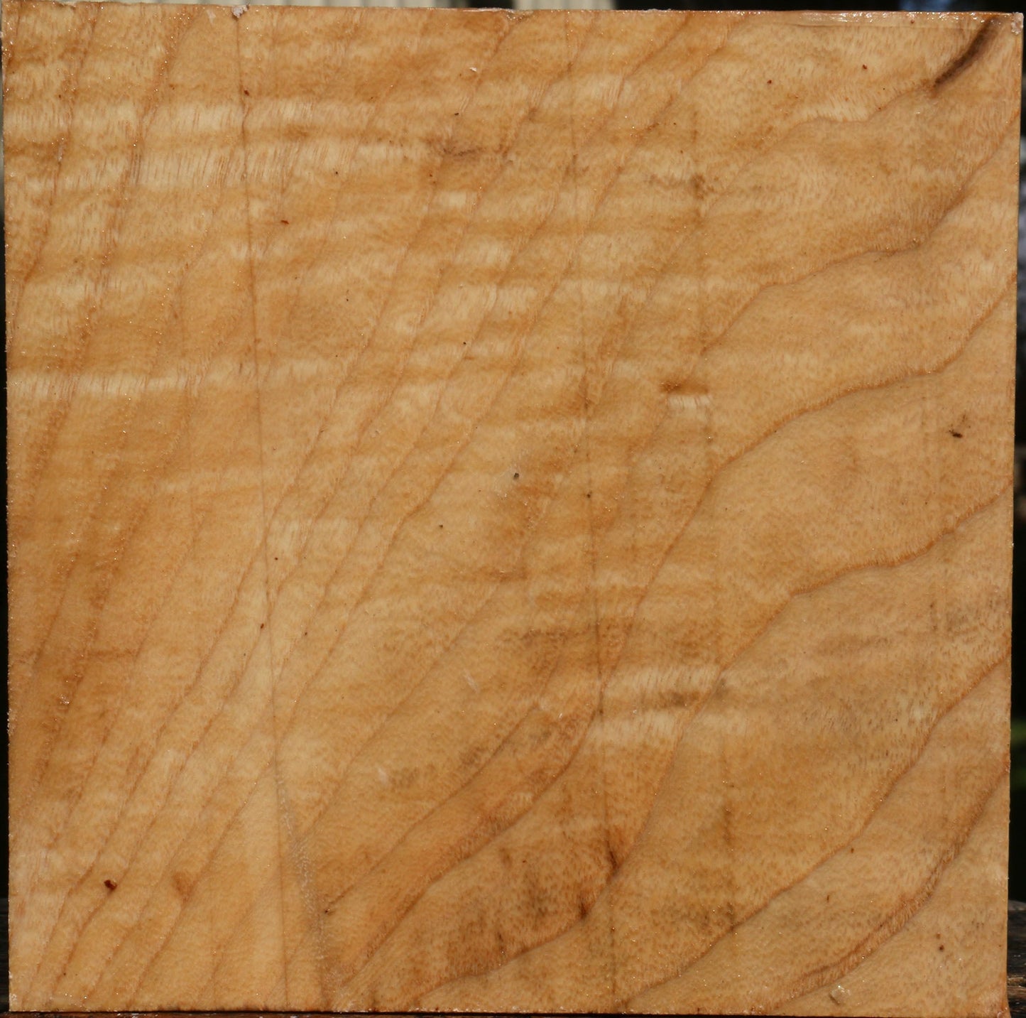 Modesto Ash Bowl Blank