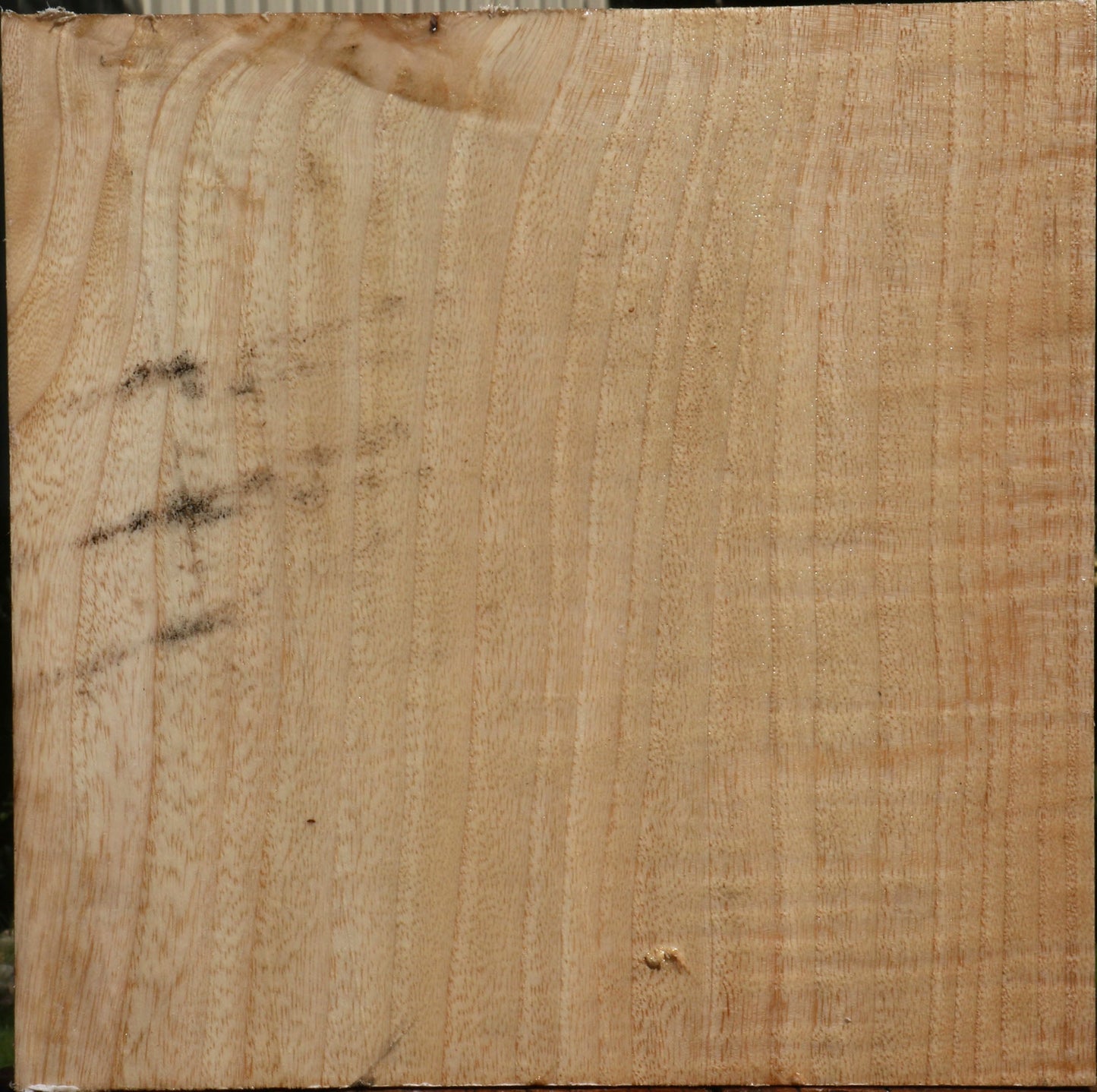 Figured Modesto Ash Bowl Blank