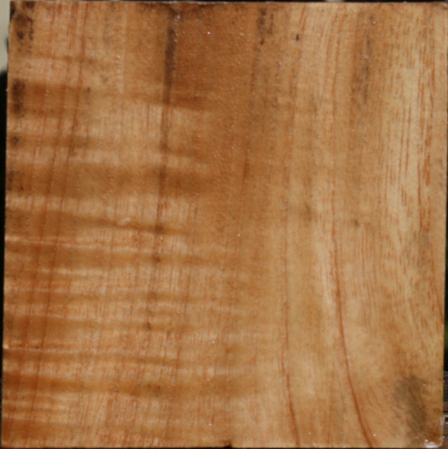 Figured Modesto Ash Bowl Blank