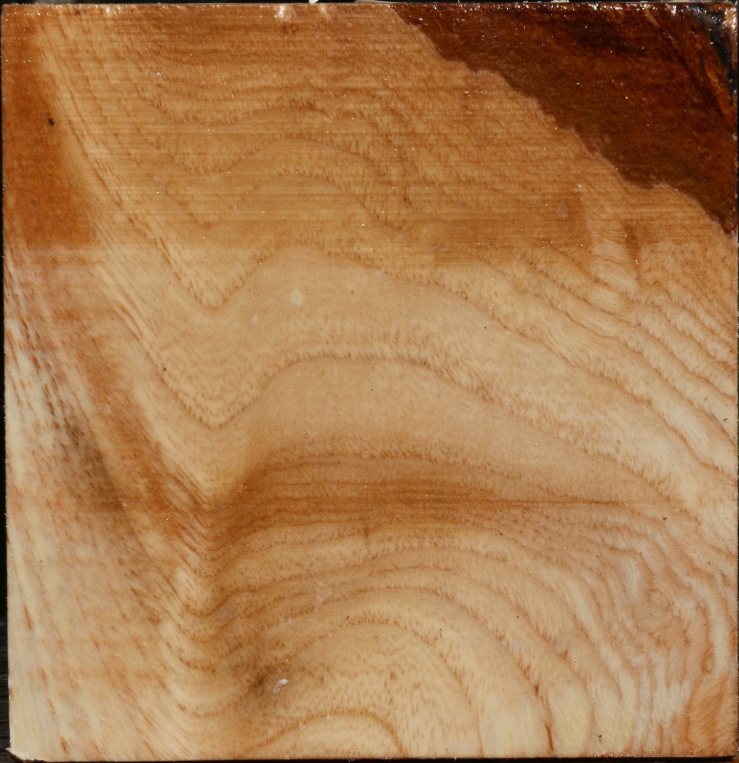 Extra Fancy Modesto Ash Bowl Blank