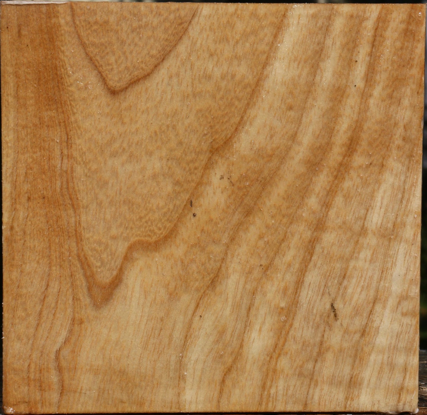 Modesto Ash Bowl Blank