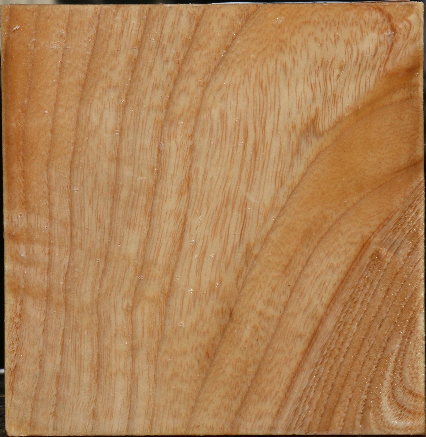 Figured Modesto Ash Bowl Blank