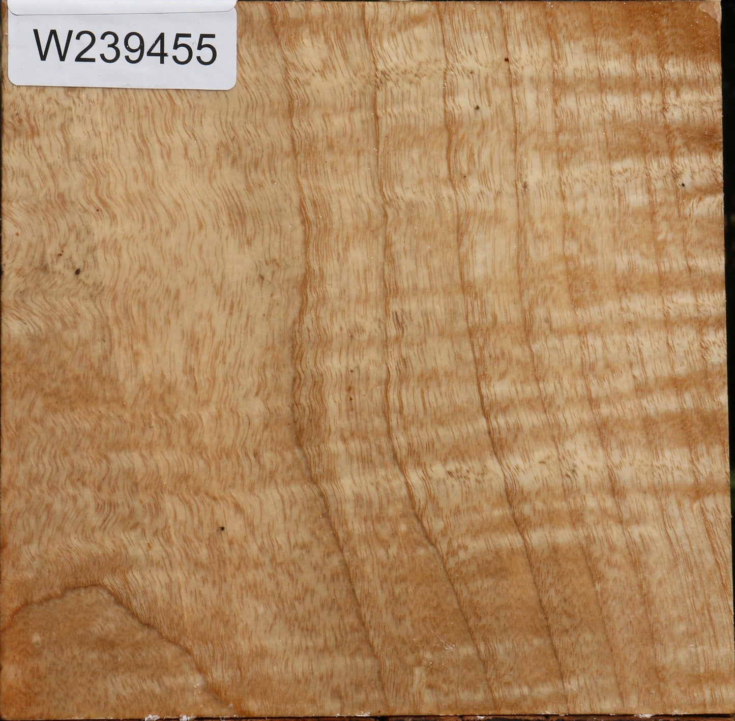 Figured Modesto Ash Bowl Blank