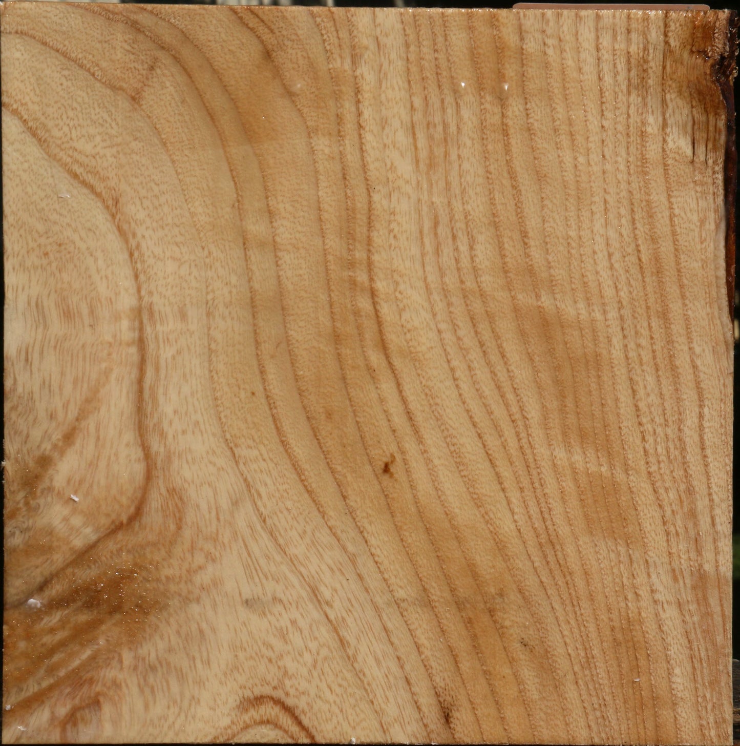 Figured Modesto Ash Bowl Blank