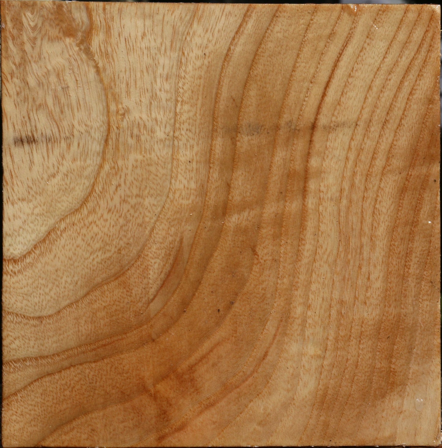 Figured Modesto Ash Bowl Blank