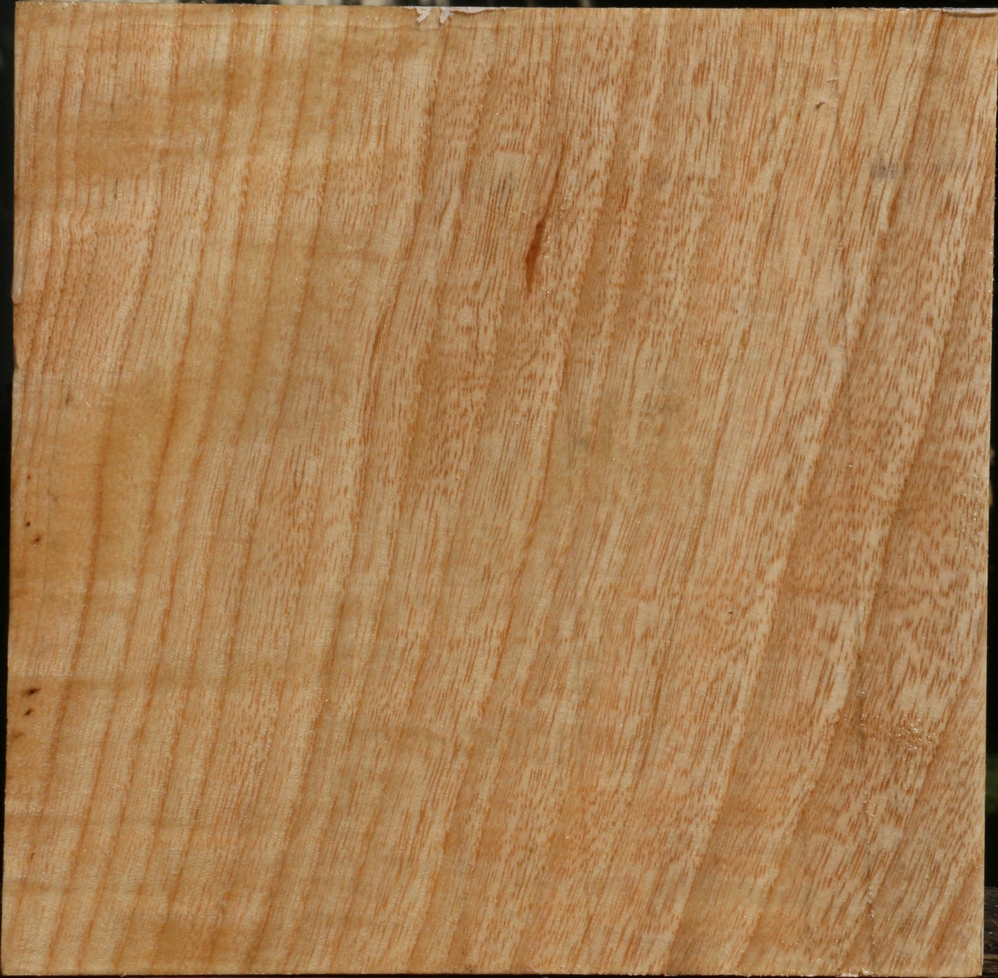 Figured Modesto Ash Bowl Blank