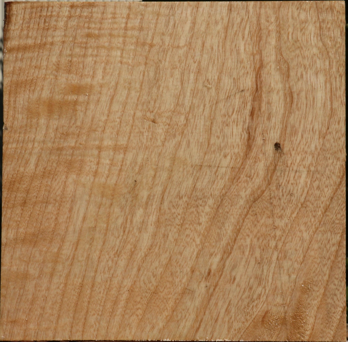 Figured Modesto Ash Bowl Blank